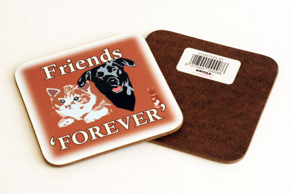 'Friends Forever' Square Coaster