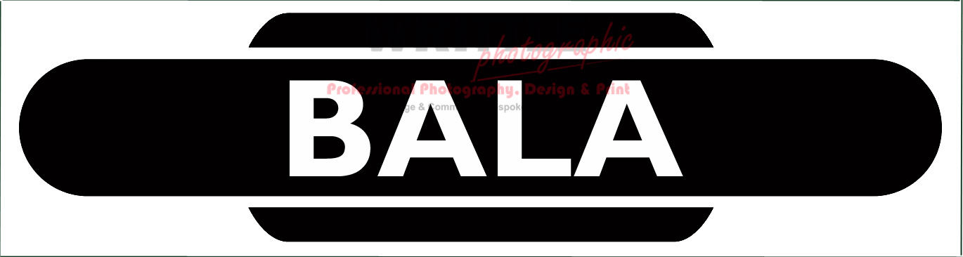 BLR TOTEM MAGNET 2026E BALA